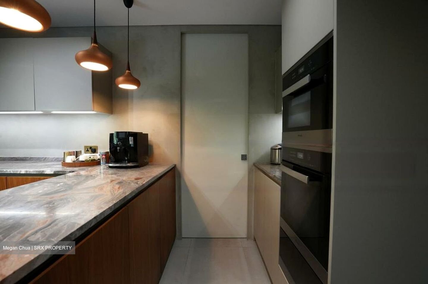 The Arcadia (D11), Condominium #456618841